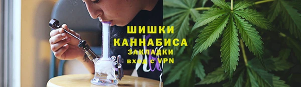ECSTASY Новодвинск