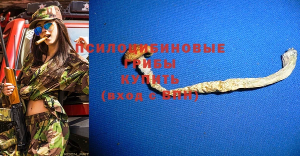 не бодяженный Новозыбков