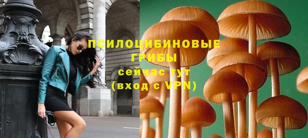 каннабис Новокубанск