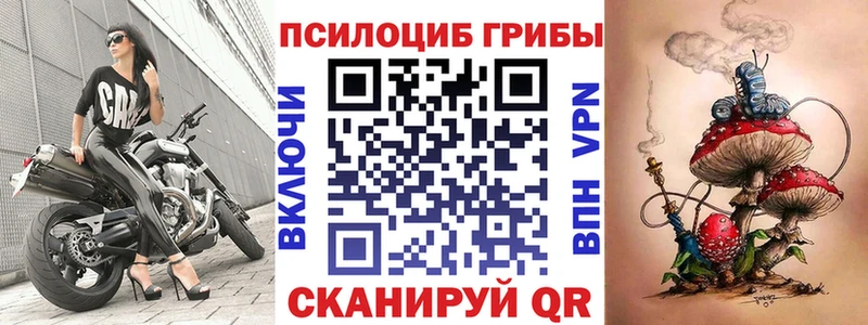 Галлюциногенные грибы Psilocybine cubensis Таганрог