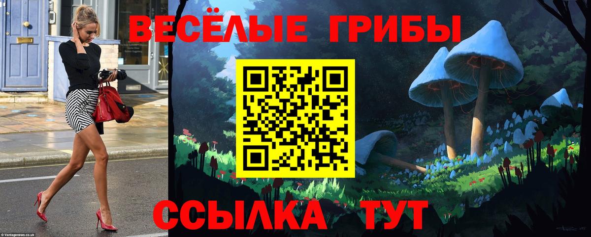 Галлюциногенные грибы Cubensis  Вход с VPN  Таганрог 