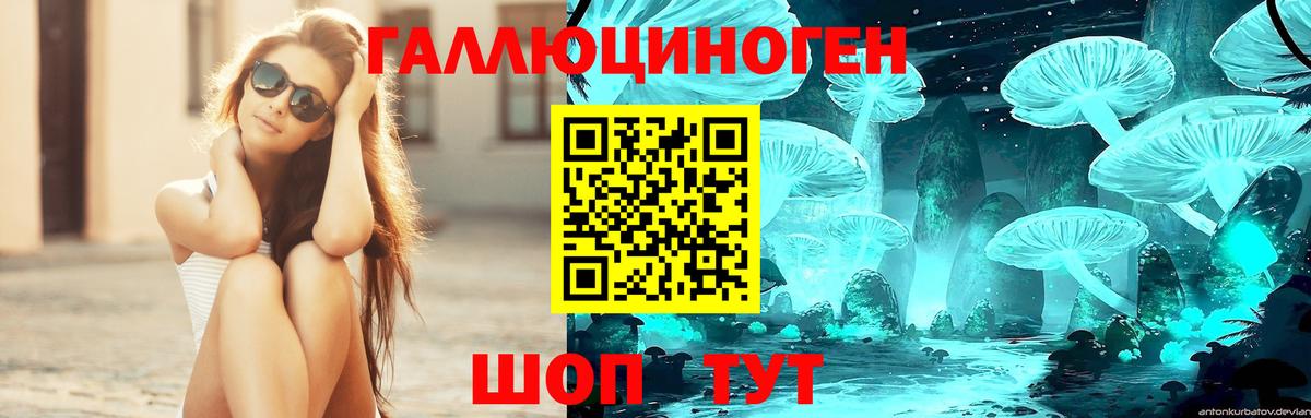 Галлюциногенные грибы Cubensis Таганрог